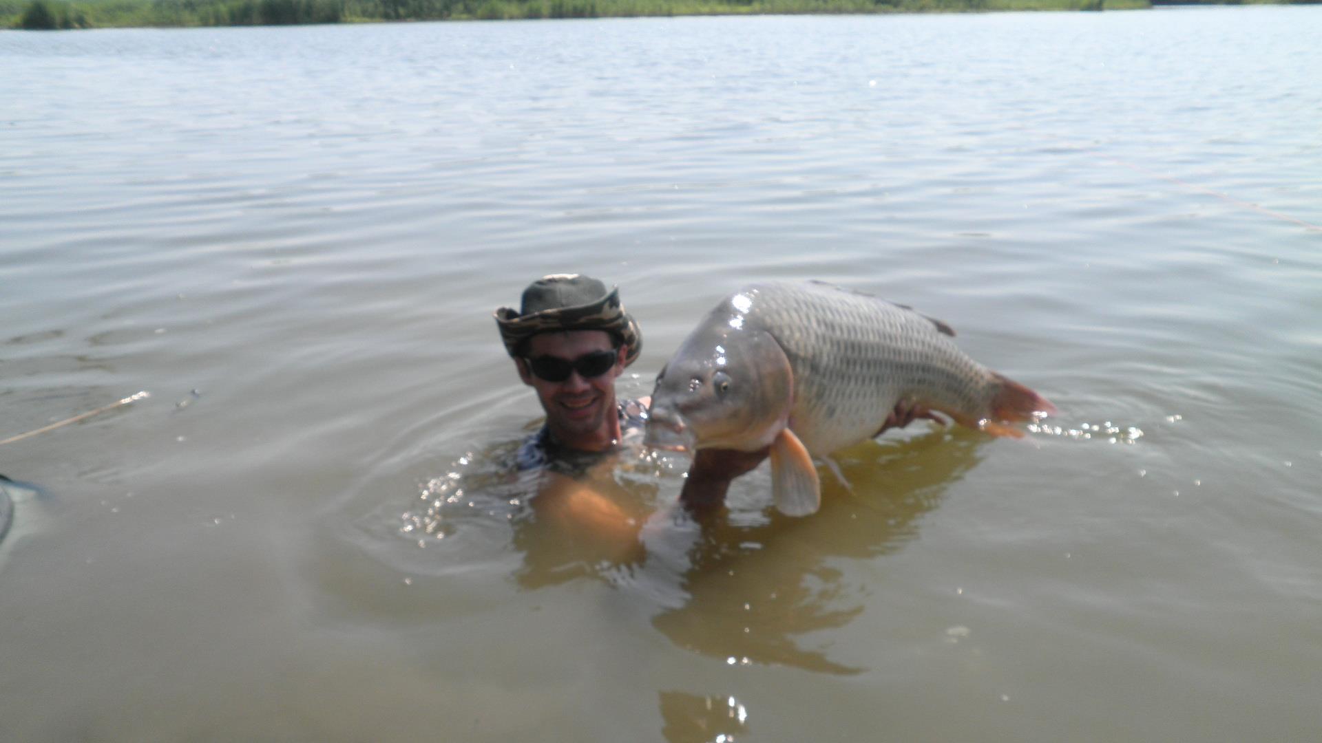 Best Off - p7100136.JPG